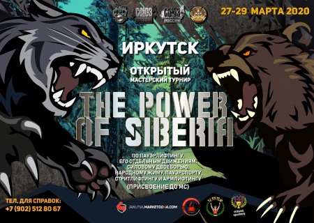 Открытый мастерский турнир "The power of Siberia", 2020