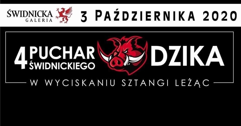IV Кубок Свидницкого кабана по жиму лежа по версии WRPF, Польша / Свидница, 03.10.2020
